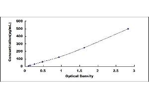 Fibroblast Growth Factor 20 (FGF20) ELISA Kit