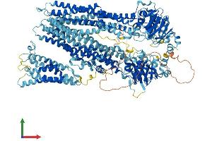AlphaFold protein structure predicition of Human Recombinant ABCC1 Protein, UniprotID P33527