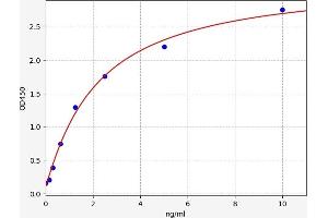 Typical standard curve (2B4 ELISA 试剂盒)