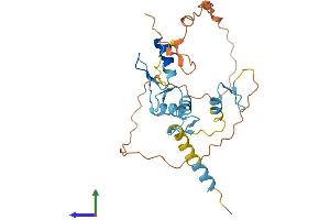 AlphaFold protein structure predicition of Mouse Recombinant Ovol1 Protein, UniprotID Q9WTJ2
