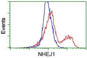 HEK293T cells transfected with either RC203393 overexpress plasmid (Red) or empty vector control plasmid (Blue) were immunostained by anti-NHEJ1 antibody (ABIN2453928), and then analyzed by flow cytometry. (NHEJ1 抗体)