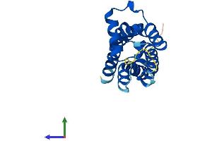 AlphaFold protein structure predicition of Mouse Recombinant Tmem97 Protein, UniprotID Q8VD00