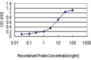 ELISA image for anti-Solute Carrier Family 9, Subfamily A (NHE1, Cation Proton Antiporter 1), Member 1 (SLC9A1) (AA 31-130) antibody (ABIN562894)