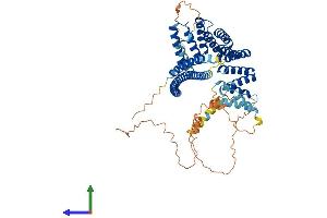 Protein Structure (PS) image for Kinesin Light Chain 2 (KLC2) (AA 1-599) protein (His tag) (ABIN7562604)