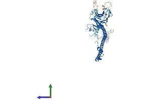 Protein Structure (PS) image for Tripartite Motif Containing 6 (TRIM6) (AA 1-488) protein (His tag) (ABIN7544775)
