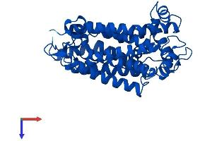 AlphaFold protein structure predicition of Human Recombinant MT-CYB Protein, UniprotID P00156 (Cytochrome b Protein (AA 1-380) (His tag))