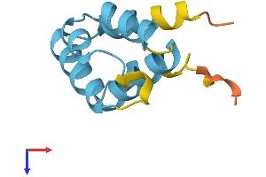 AlphaFold protein structure predicition of Human Recombinant PYDC2 Protein, UniprotID Q56P42