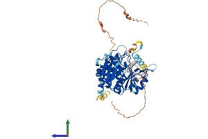 Protein Structure (PS) image for CDC14 Cell Division Cycle 14B (CDC14B) (AA 1-498) protein (His tag) (ABIN7553195)