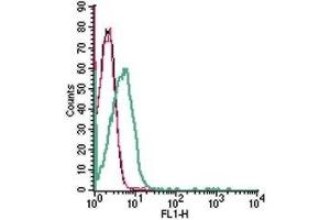 Flow Cytometry (FACS) image for anti-Solute Carrier Family 19 (Folate Transporter), Member 1 (SLC19A1) (AA 412-426), (Extracellular) antibody (ABIN7043690)