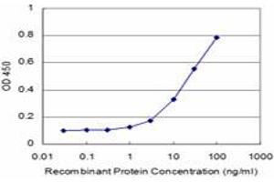 Detection limit for recombinant GST tagged PRDM1 is approximately 1ng/ml as a capture antibody. (PRDM1 抗体  (AA 1-109))