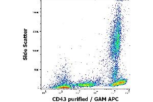 Flow cytometry surface staining pattern of human peripheral blood stained using anti-human CD43 (MEM-59) purified antibody (concentration in sample 2 μg/mL, GAM APC). (CD43 抗体)