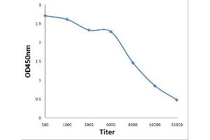 ELISA image for anti-Sodium Channel, Voltage-Gated, Type VIII, alpha (SCN8A) (AA 251-314) antibody (ABIN719981)