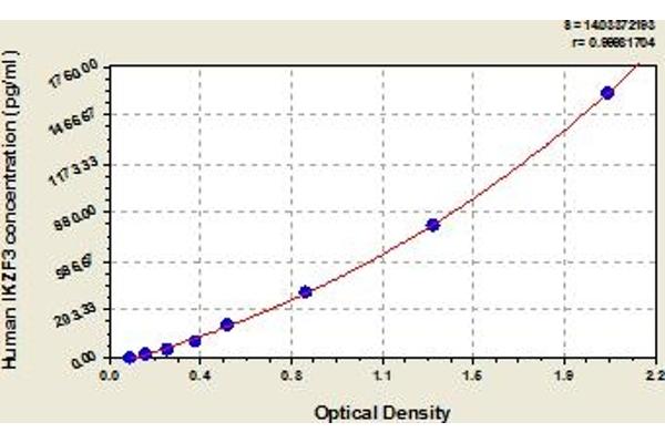 IKZF3 ELISA 试剂盒