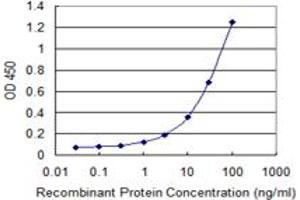 Detection limit for recombinant GST tagged GAL3ST1 is 0. (GAL3ST1 抗体  (AA 324-423))