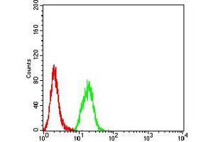 Flow cytometric analysis of Hela cells using SYK mouse mAb (green) and negative control (red). (SYK 抗体  (AA 217-356))
