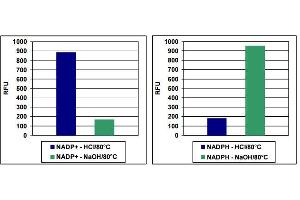 NADP+ /NADPH Detection.