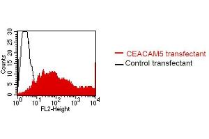 FACS analysis of BOSC23 cells using 26/3/13. (CEACAM5 抗体)