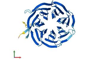 Protein Structure (PS) image for Guanine Nucleotide Binding Protein (G Protein), beta Polypeptide 2-Like 1 (GNB2L1) (AA 1-317) protein (His tag) (ABIN7555108)