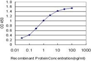 Detection limit for recombinant GST tagged BLR1 is approximately 0. (CXCR5 抗体  (AA 1-55))