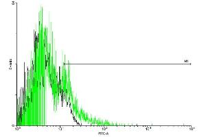 FACS analysis of negative control 293 cells (Black) and F2R expressing 293 cells (Green) using F2R purified MaxPab mouse polyclonal antibody. (PAR1 抗体  (AA 1-425))