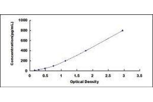 Dipeptidyl-Peptidase 4 (DPP4) ELISA Kit