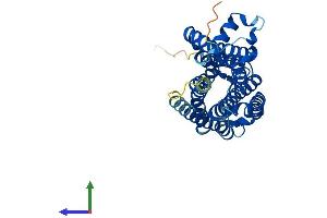 Protein Structure (PS) image for Trace Amine Associated Receptor 9 (TAAR9) (AA 1-348) protein (His tag) (ABIN7544108)