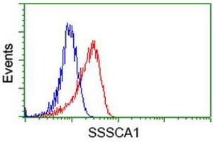 Image no. 2 for anti-Sjogren Syndrome/scleroderma Autoantigen 1 (SSSCA1) antibody (ABIN1501155) (SSSCA1 抗体)