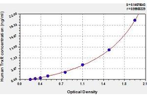 Typical Standard Curve (TXNRD1 ELISA 试剂盒)