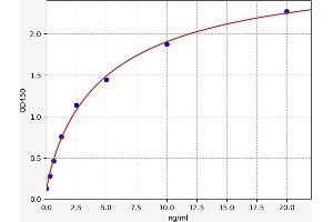 alpha-L-Fucosidase (Fuca) ELISA 试剂盒