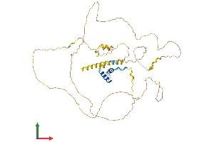 Protein Structure (PS) image for TOX High Mobility Group Box Family Member 2 (TOX2) (AA 1-488) protein (His tag) (ABIN7544663)