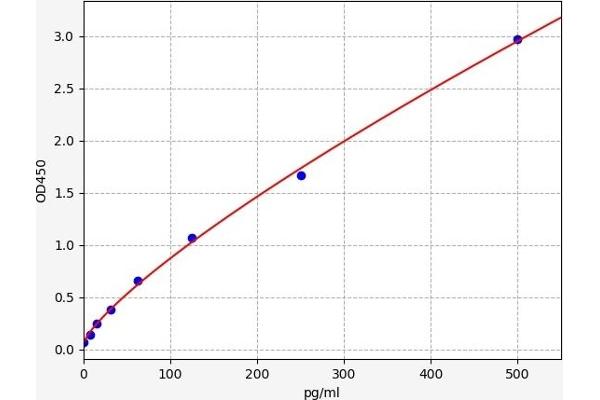 GSK3 alpha ELISA 试剂盒