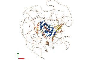 AlphaFold protein structure predicition of Mouse Recombinant Ccnb3 Protein, UniprotID Q810T2