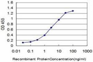 Detection limit for recombinant GST tagged FLT4 is approximately 0. (FLT4 抗体  (AA 34-133))