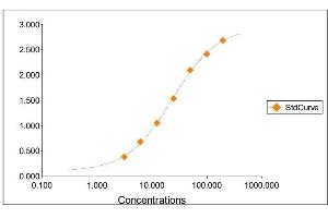 Standard Curve Graph (Fetuin ELISA 试剂盒)