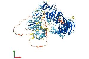 Protein Structure (PS) image for DAG Kinase gamma (AA 1-788) protein (His tag) (ABIN7560038)