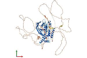 Protein Structure (PS) image for Tyrosine-Protein Phosphatase Non-Receptor Type 22 (PTPN22) (AA 1-807) protein (His tag) (ABIN7555095)