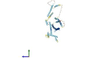 AlphaFold protein structure predicition of Human Recombinant CEP70 Protein, UniprotID Q8NHQ1