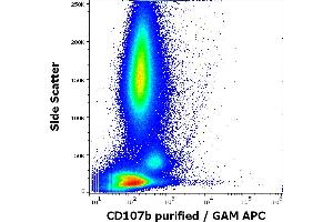 Flow cytometry surface staining pattern of human anti-IgE antibody stimulated peripheral whole blood stained using anti-human CD107b (H4B4) purified antibody (concentration in sample 1,67 μg/mL, GAM APC).