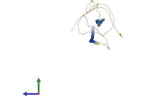 Protein Structure (PS) image for Keratin 75 (KRT75) (AA 1-551) protein (His tag) (ABIN7548597)