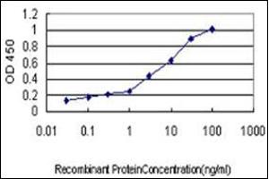 ELISA image for anti-Serpin Peptidase Inhibitor, Clade G (C1 Inhibitor), Member 1 (SERPING1) (AA 1-501) antibody (ABIN782340)