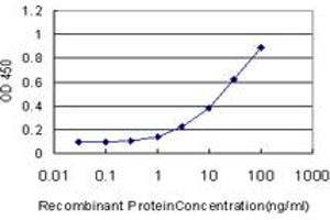 Detection limit for recombinant GST tagged CREB1 is approximately 1ng/ml as a capture antibody. (CREB1 抗体  (AA 1-341))