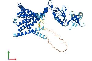 Protein Structure (PS) image for Membrane-Bound Transcription Factor Peptidase, Site 2 (MBTPS2) (AA 1-519) protein (His tag) (ABIN7549257)