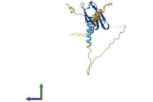 AlphaFold protein structure predicition of Mouse Recombinant Eaf2 Protein, UniprotID Q91ZD6