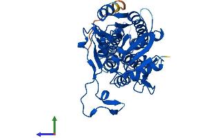 Protein Structure (PS) image for Methylthioribose-1-Phosphate Isomerase 1 (Mri1) (AA 1-369) protein (His tag) (ABIN7560575)