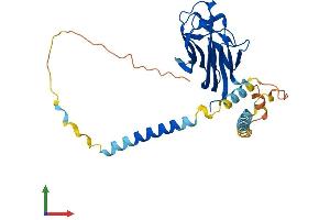 Protein Structure (PS) image for Tumor Necrosis Factor (Ligand) Superfamily, Member 11 (TNFSF11) (AA 1-317) protein (His tag) (ABIN7555801)