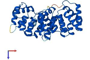 Annexin A10 (ANXA10) (AA 1-324) protein (His tag)