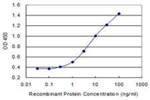 Detection limit for recombinant GST tagged PDYN is 0. (PDYN 抗体  (AA 205-254))