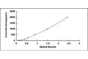 Typical standard curve (S100B ELISA 试剂盒)