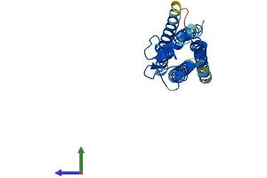 AlphaFold protein structure predicition of Mouse Recombinant Cd151 Protein, UniprotID O35566