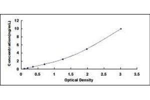 Typical standard curve (MYBL1 ELISA 试剂盒)